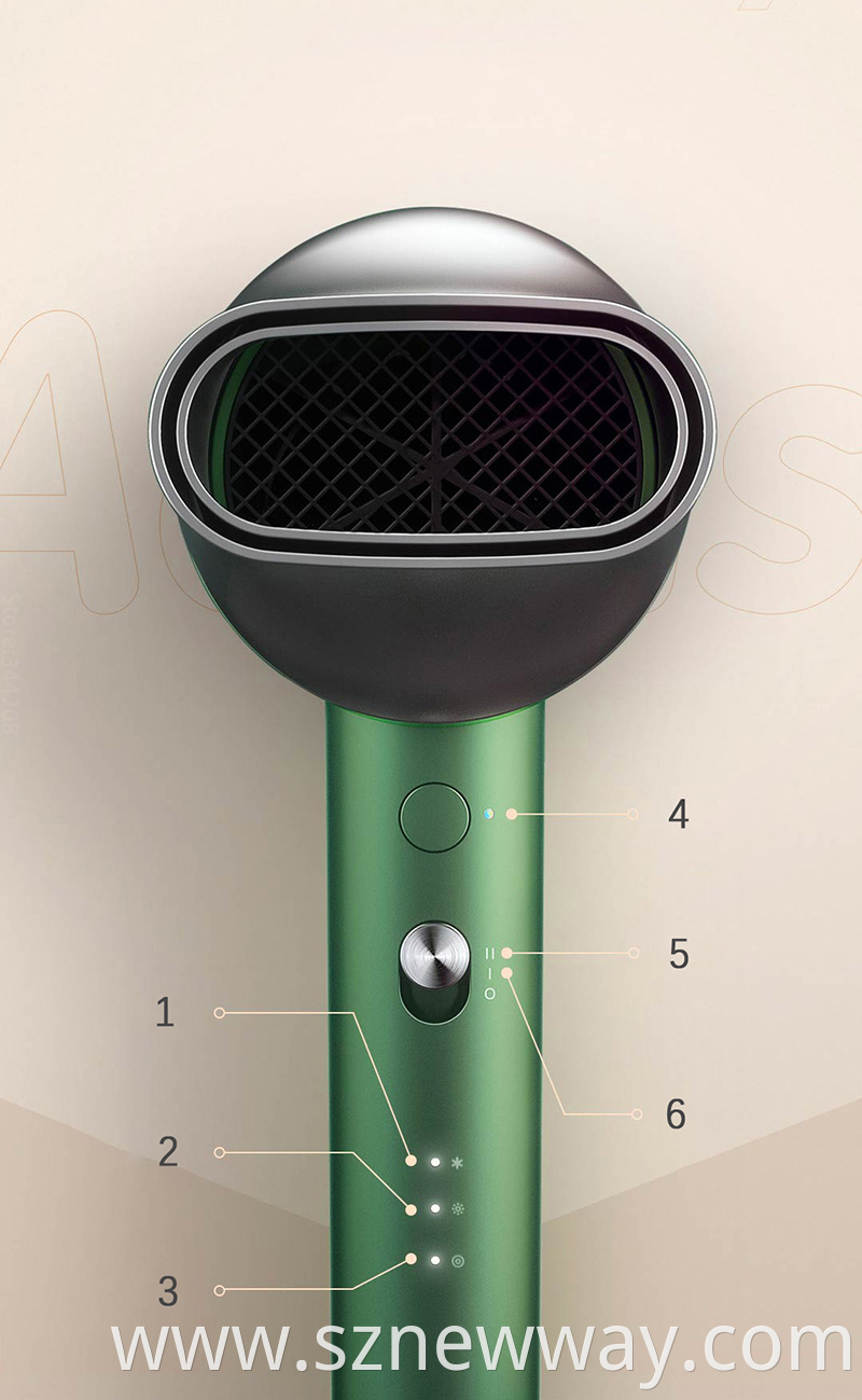 Showsee Professinal Hair Dryer